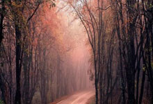 巴黎圣日耳曼边锋玛拉斯加盟勒阿弗尔，期待新生涯